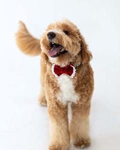 BOWTIE | NORTH POLE