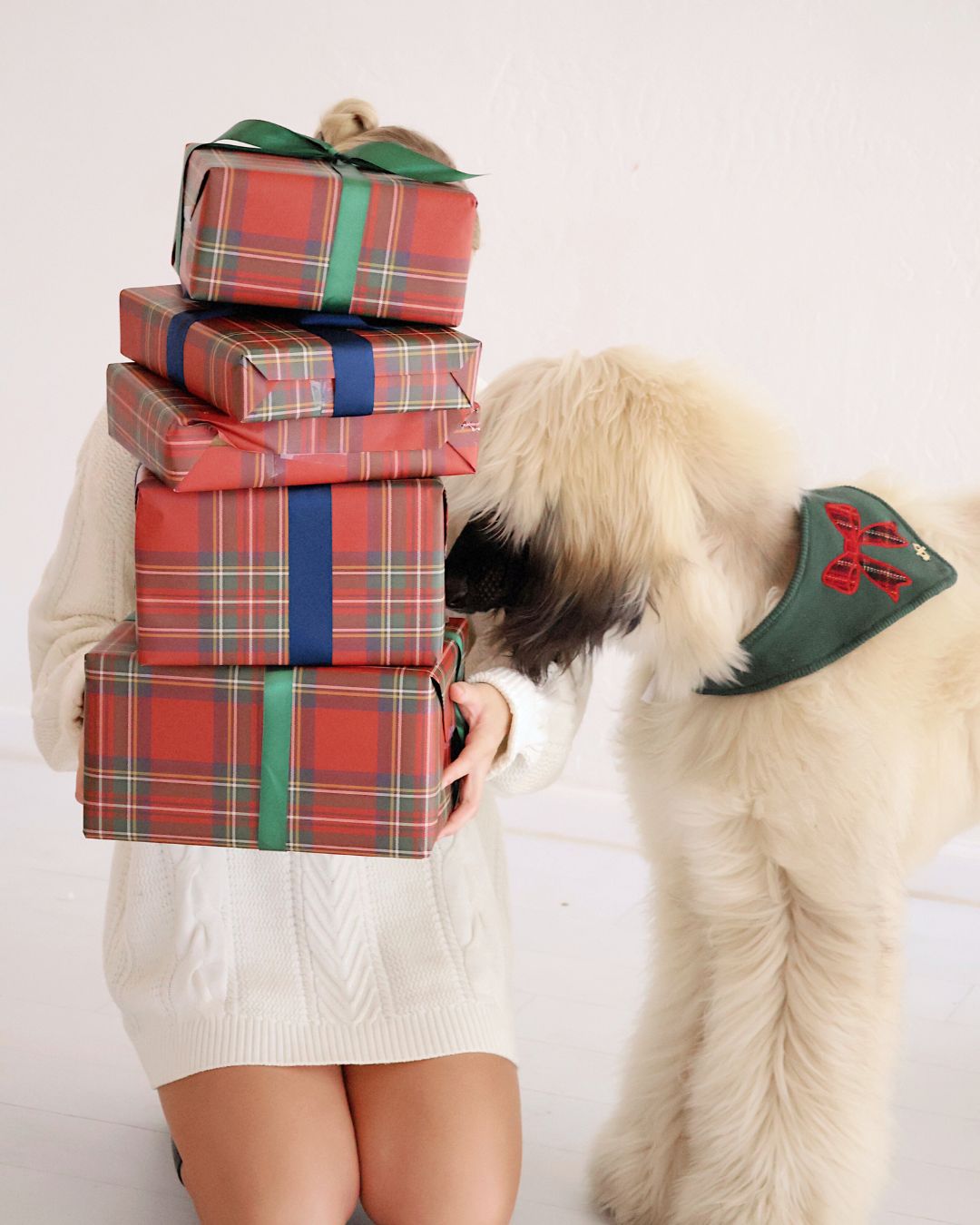 BANDANA | KENSINGTON BOW