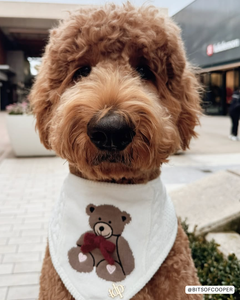 BANDANA | TEDDY