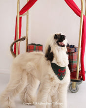 Load image into Gallery viewer, BANDANA | KENSINGTON BOW
