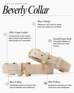 BEVERLY COLLAR | BLUSH