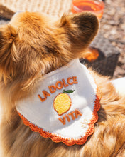 Load image into Gallery viewer, BANDANA | DOLCE VITA

