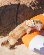 Load image into Gallery viewer, BANDANA | DOLCE VITA
