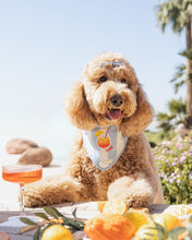 Load image into Gallery viewer, BANDANA | SPRITZ &amp; STRIPES

