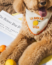 Load image into Gallery viewer, BANDANA | DOLCE VITA
