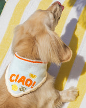 Load image into Gallery viewer, BANDANA | CIAO!
