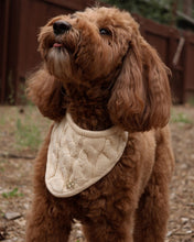 Load image into Gallery viewer, BANDANA | THE HOUSE CABLE
