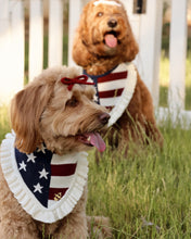 Load image into Gallery viewer, BANDANA | STARS &amp; STRIPES

