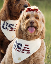 Load image into Gallery viewer, BANDANA | AMERICANA
