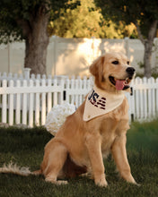 Load image into Gallery viewer, BANDANA | AMERICANA

