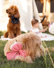 Load image into Gallery viewer, SAILOR BOW | RED GINGHAM
