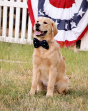 Load image into Gallery viewer, BOWTIE | NAVY STARS
