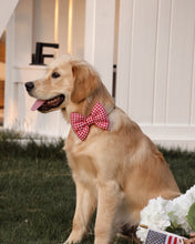 Load image into Gallery viewer, BOWTIE | RED GINGHAM
