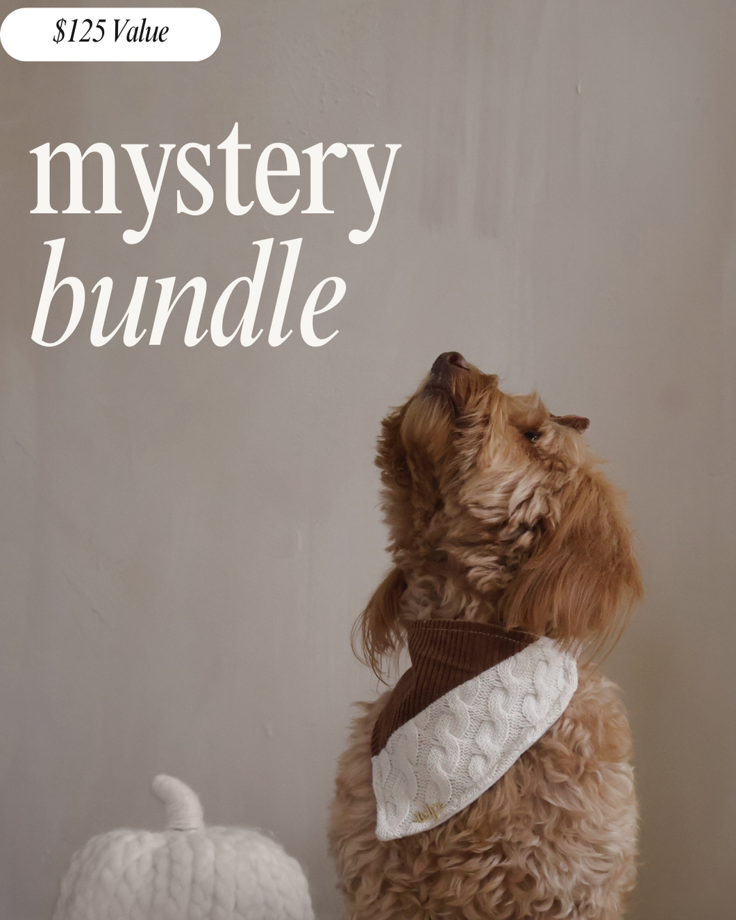 Mystery Bundle