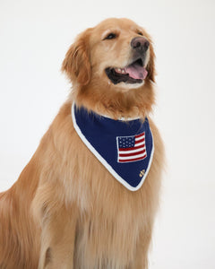 BANDANA | BENJAMIN ROSS