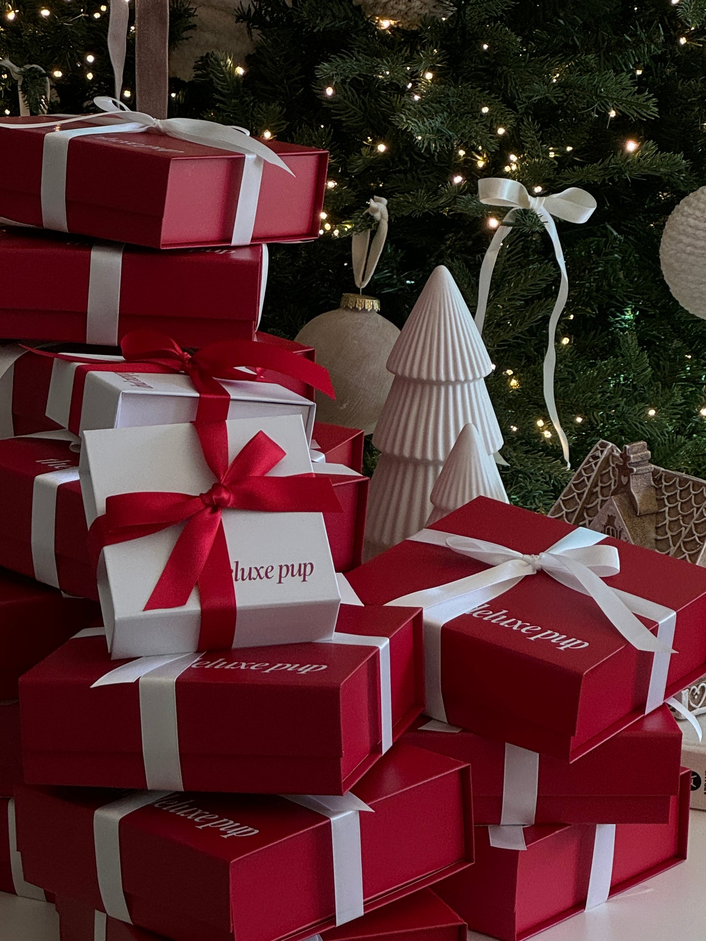 DELUXE HOLIDAY PACKAGING