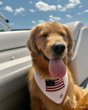 Load image into Gallery viewer, BANDANA | BETSY ROSS
