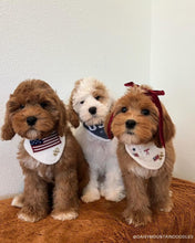 Load image into Gallery viewer, BANDANA | BETSY ROSS
