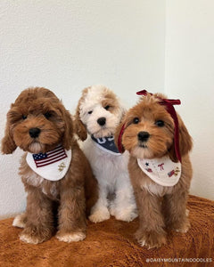 BANDANA | BETSY ROSS