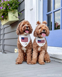 BANDANA | BETSY ROSS