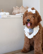 Load image into Gallery viewer, BOW BUNDLE | ADIRONDACK TEDDY PLAID
