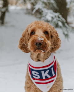 BANDANA | APRÉS SKI