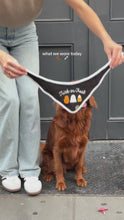Load and play video in Gallery viewer, trick or treat halloween dog bandana 
