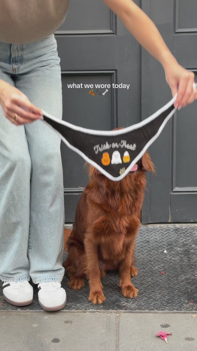 trick or treat halloween dog bandana 